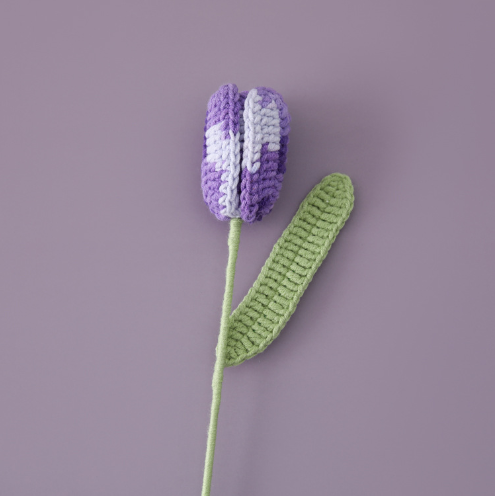 Tulip