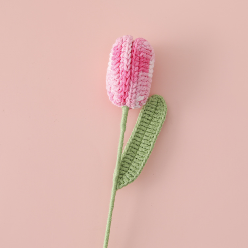 Tulip