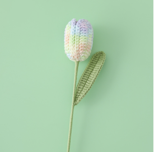 Tulip