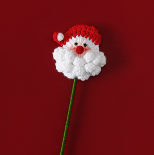 Christmas Flower