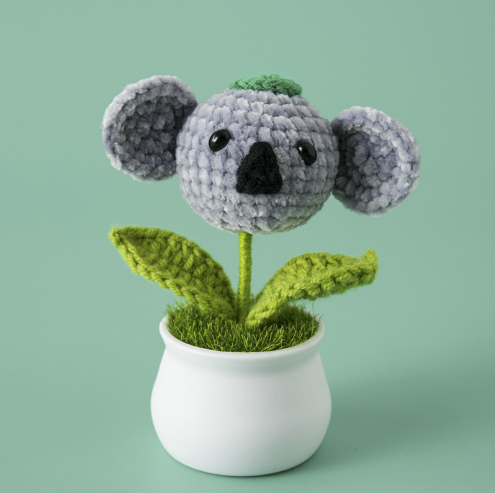 Koala potted plant