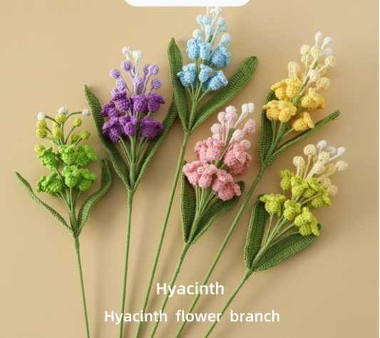 Hyacinth