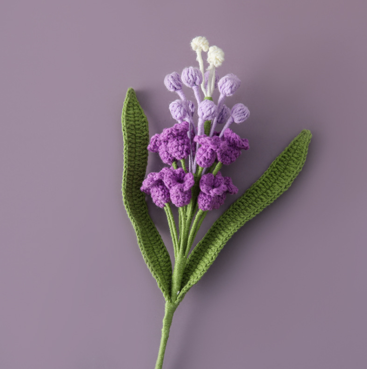 Hyacinth