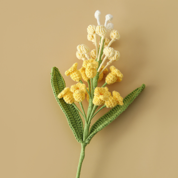 Hyacinth
