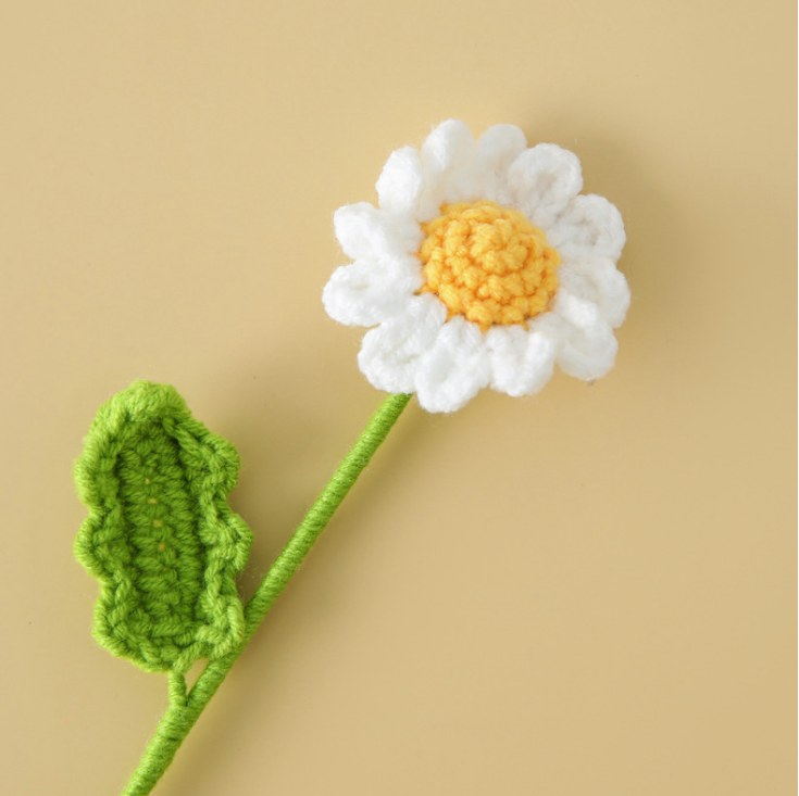 daisy