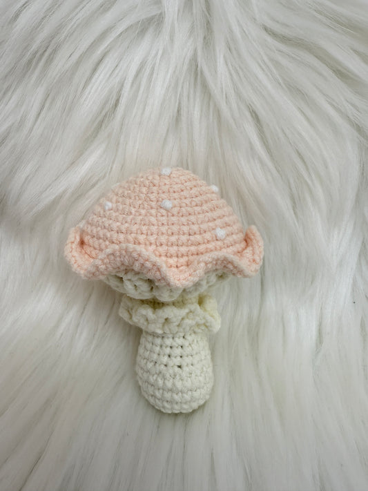 Big mushroom
