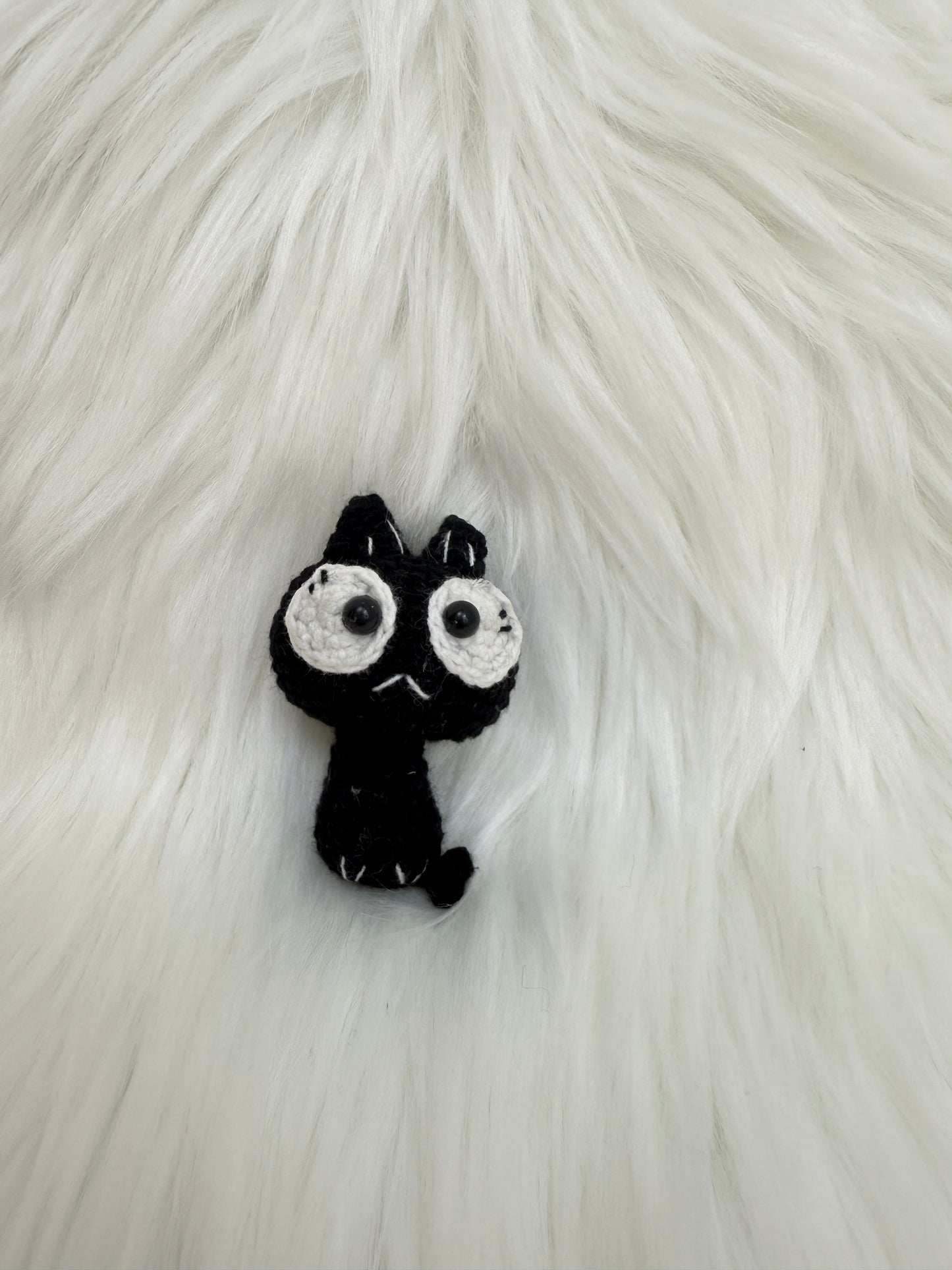 Black cat