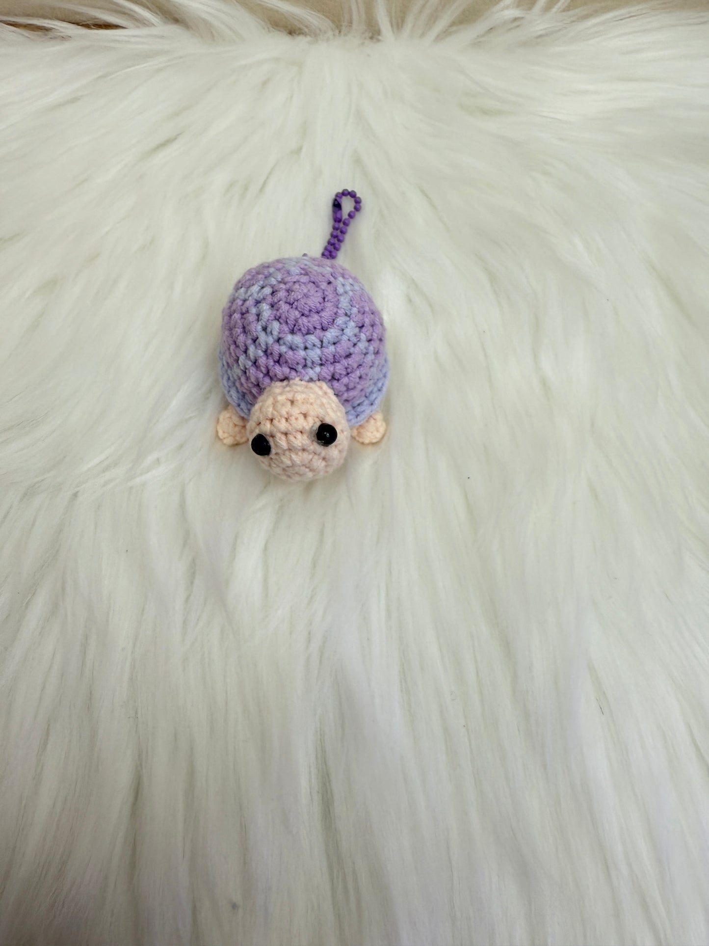 Cute turtle