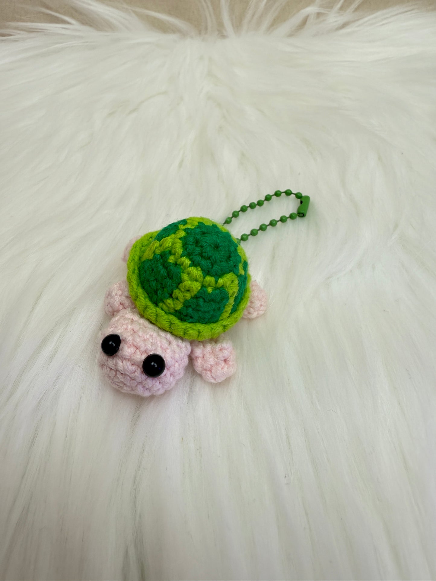 Cute turtle