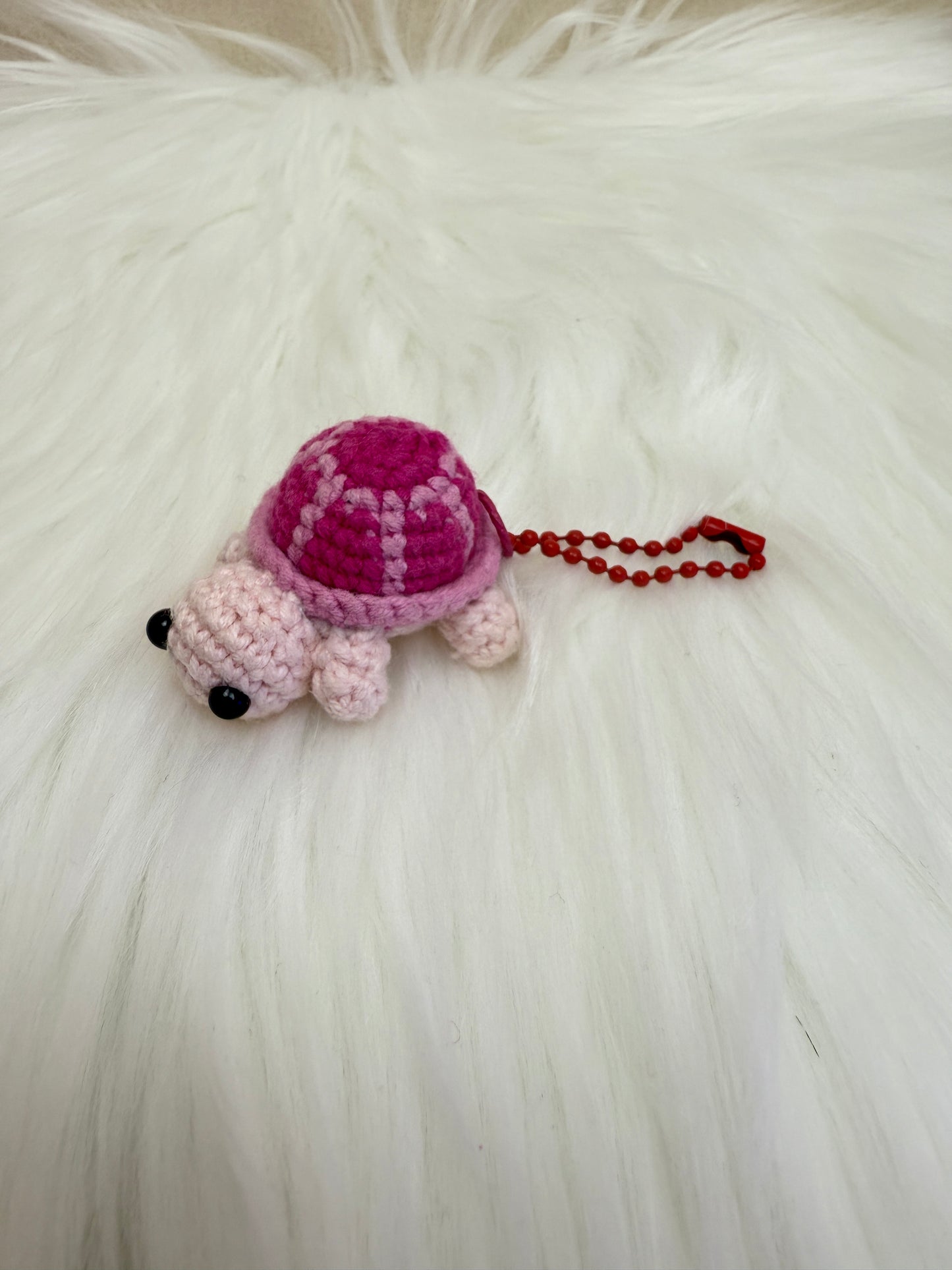 Cute turtle