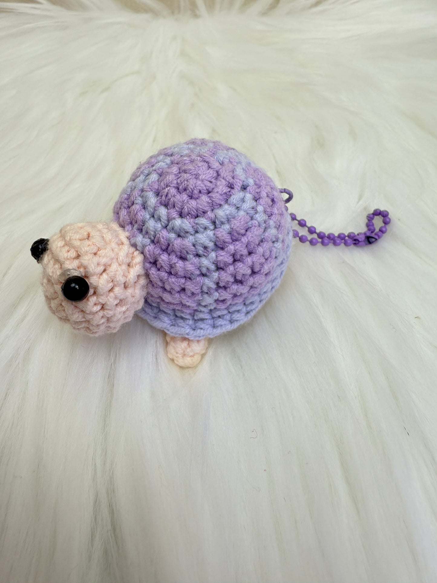 Cute turtle