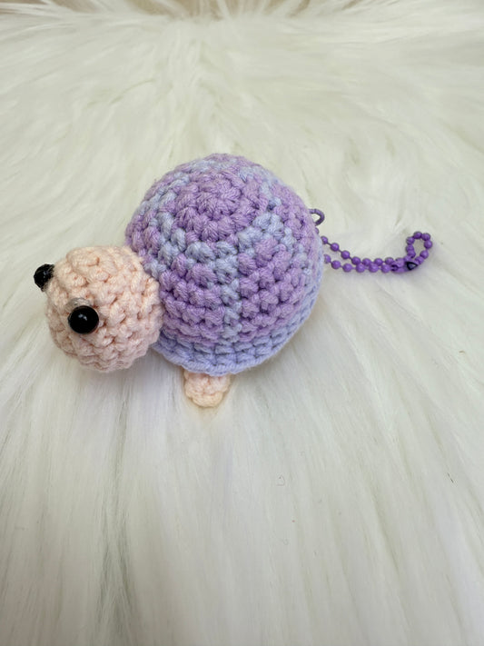 Cute turtle