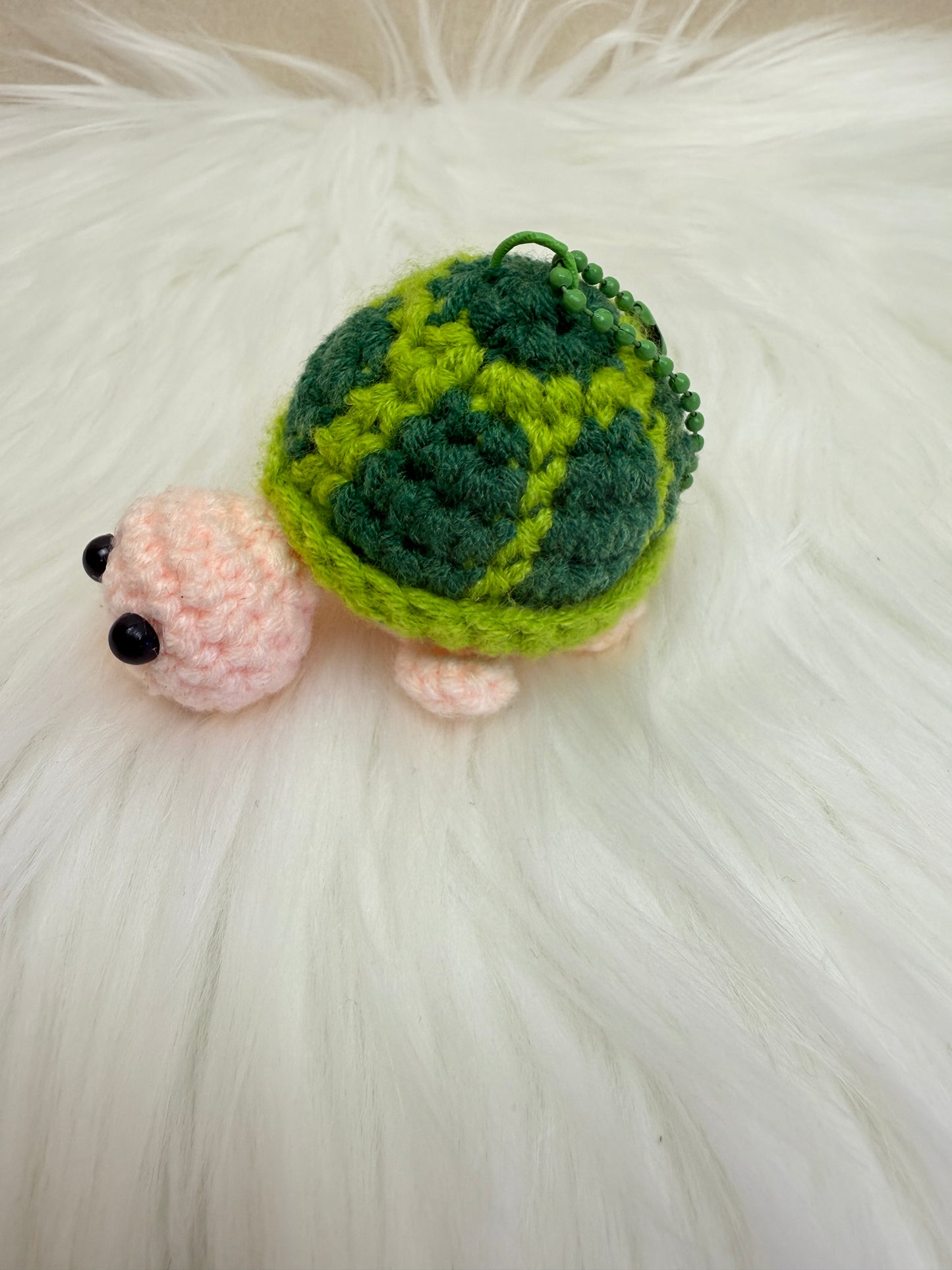 Cute turtle