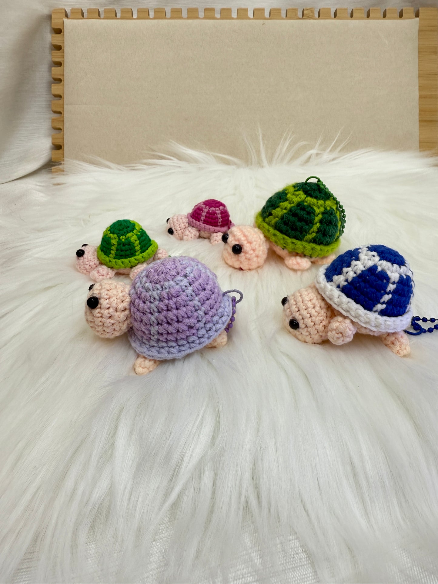 Cute turtle
